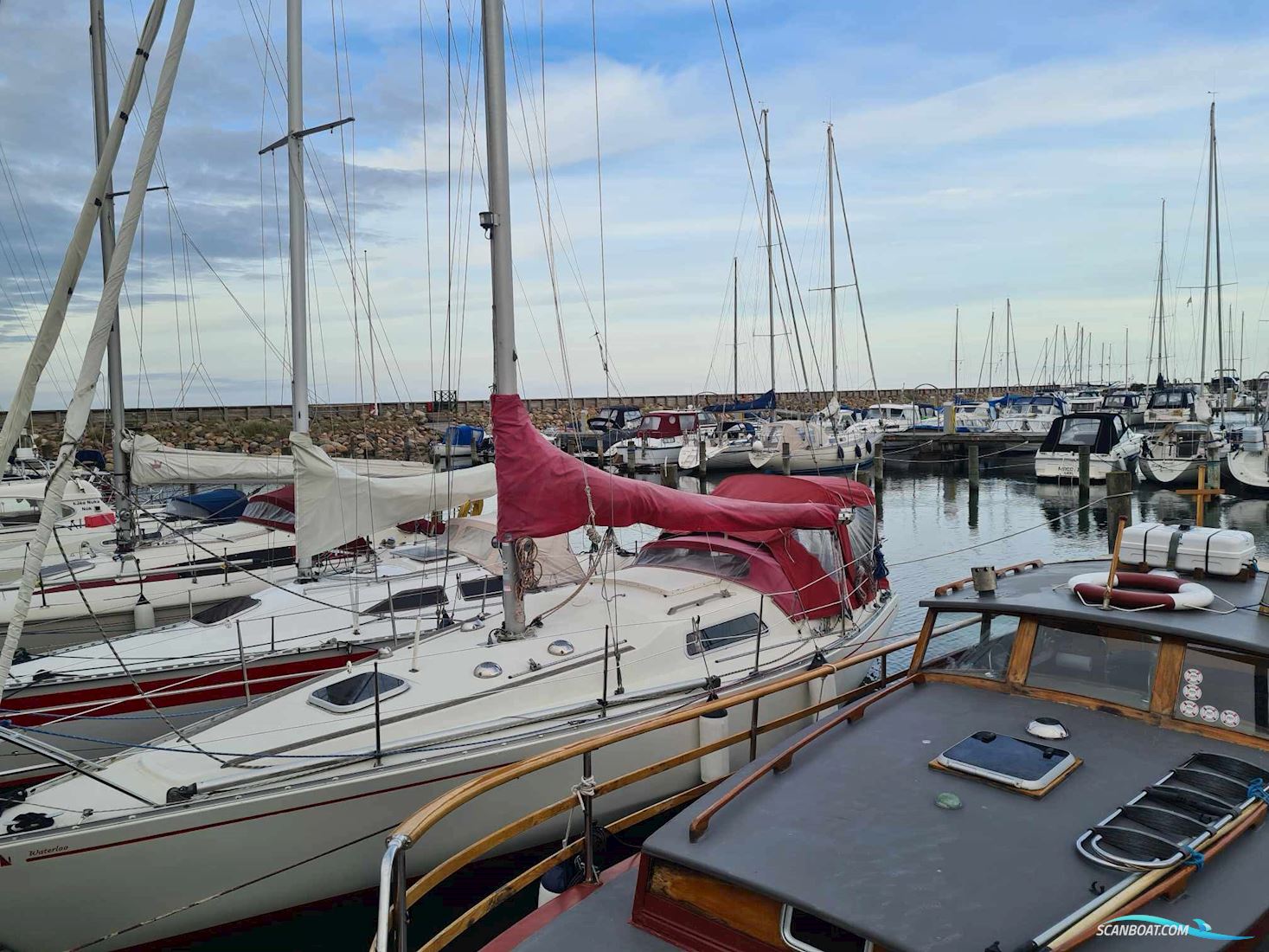 Scampi 30 Sejlbåd 1977, med Yanmar Ysb12G motor, Danmark