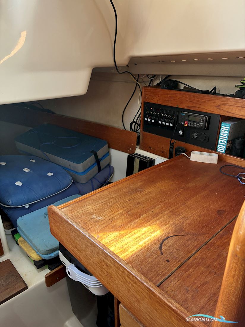 Scampi 30