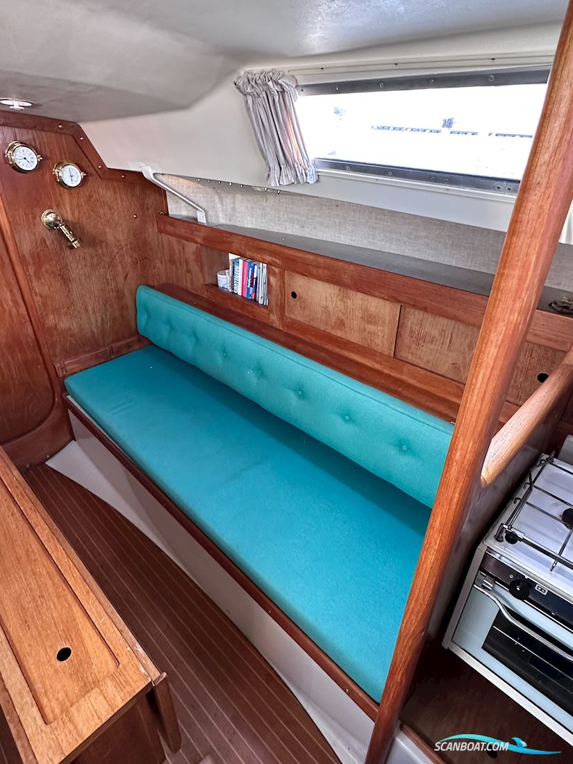 Scampi 30