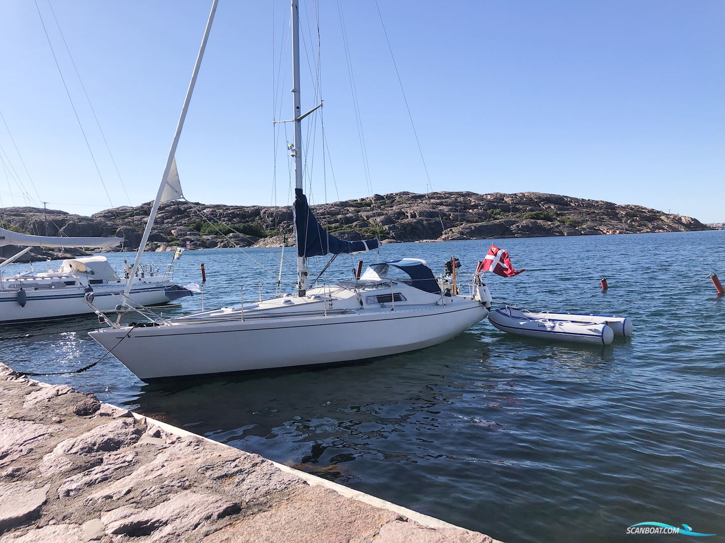 Scampi 30