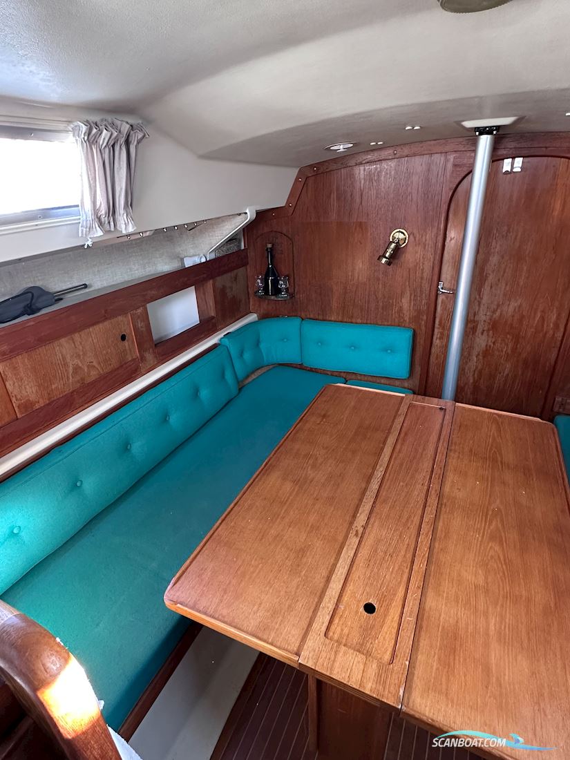 Scampi 30