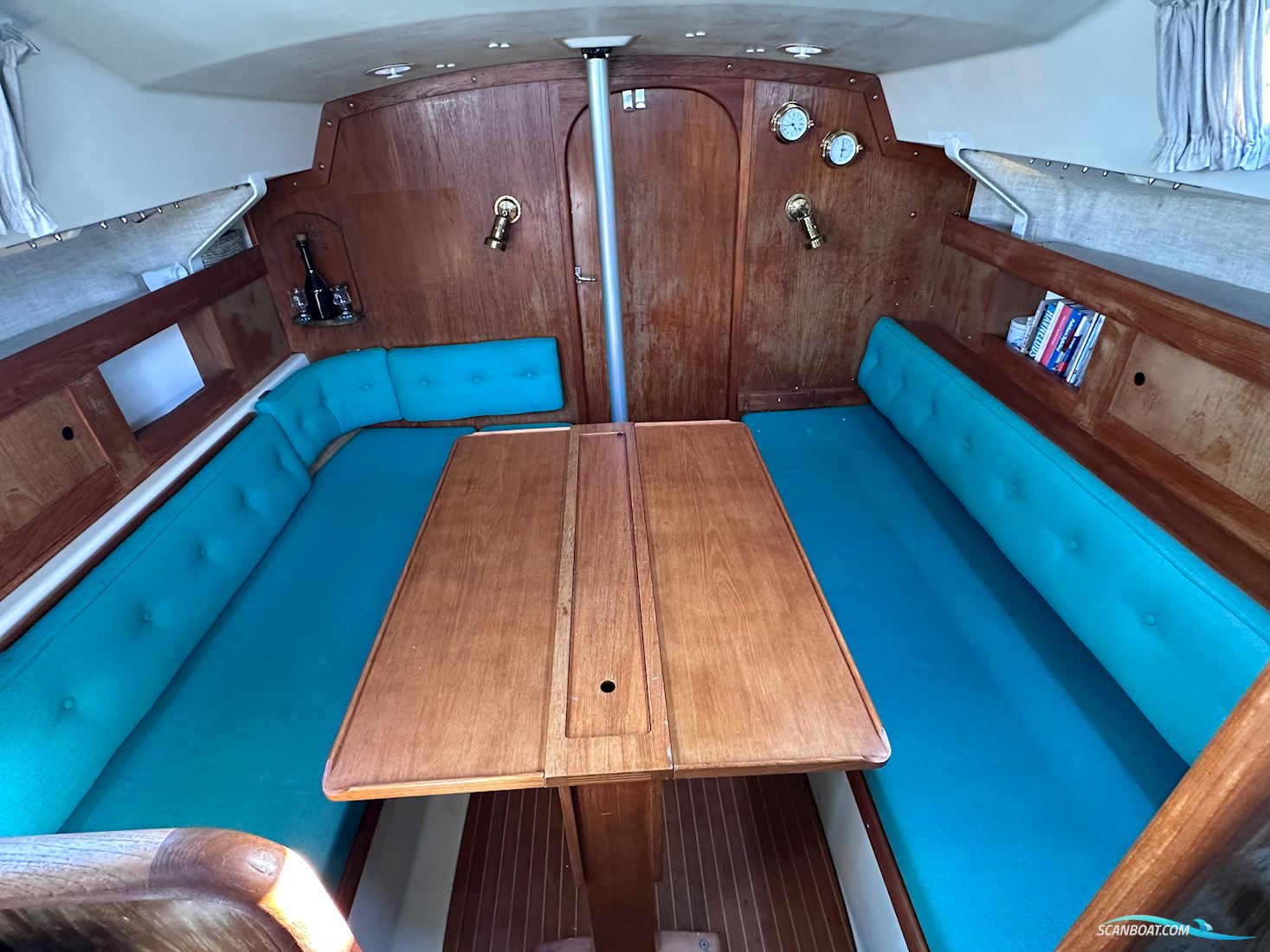 Scampi 30