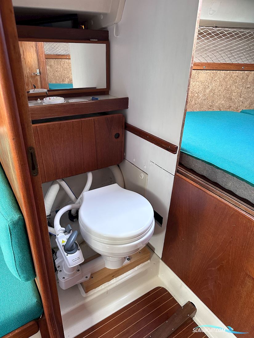 Scampi 30