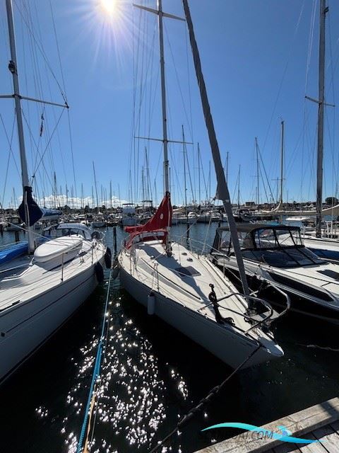 Scampi 30 Sejlbåd med havneplads (Efterårspris)