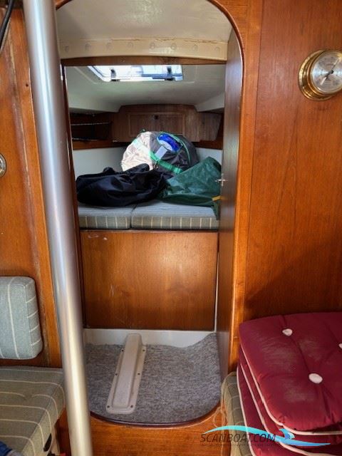 Scampi 30 Sejlbåd med havneplads (Efterårspris)