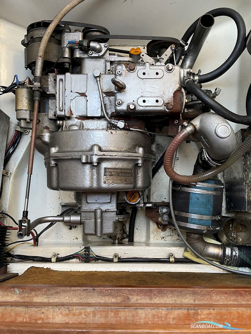 Scampi 30 Sejlbåd med havneplads (Efterårspris)