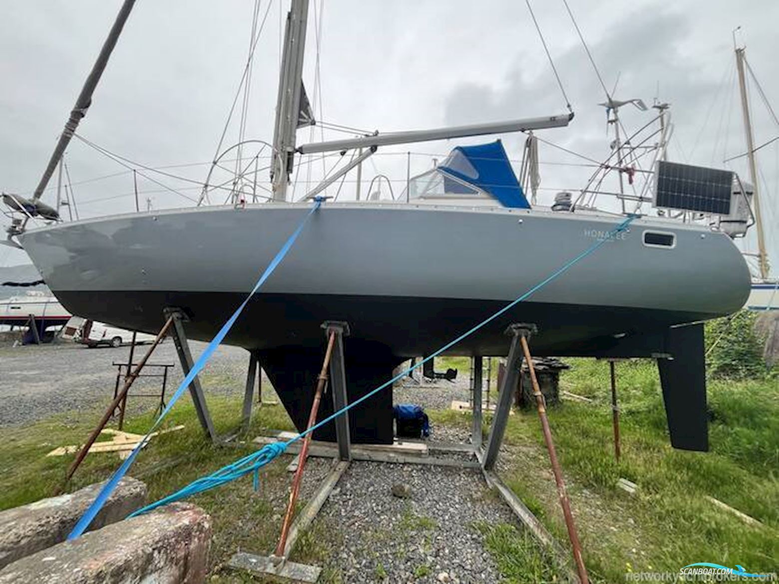 Scanmar 40