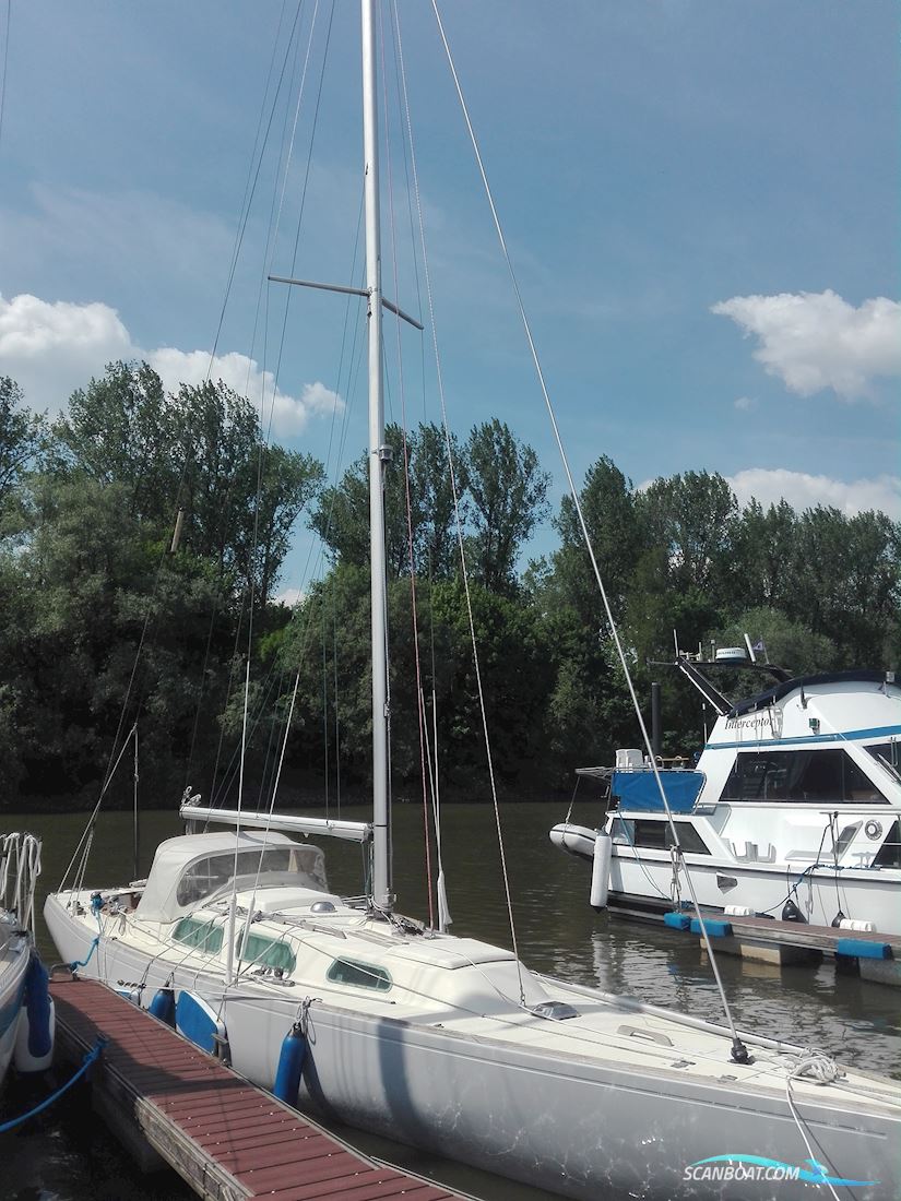 Schärenkreuzer Lotus 40