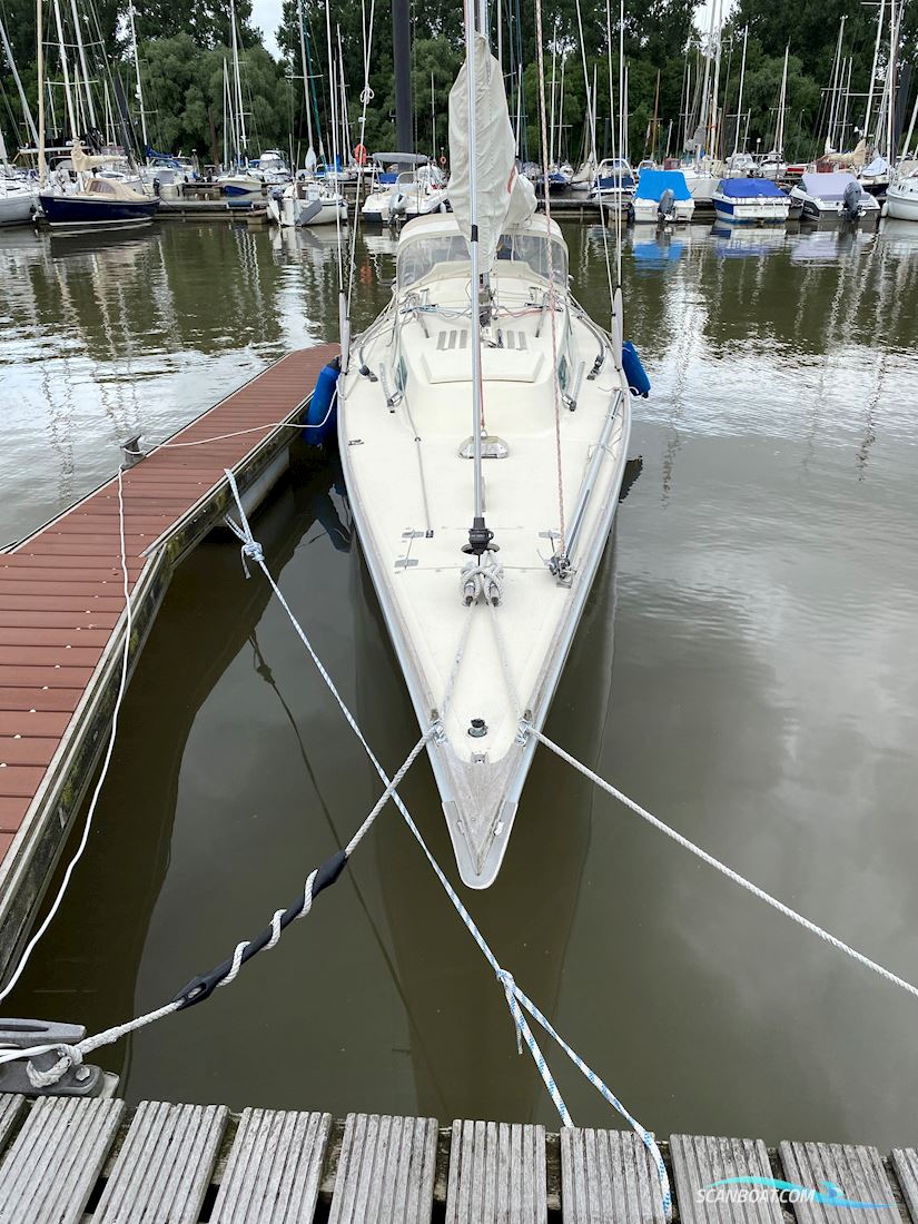 Schärenkreuzer Lotus 40