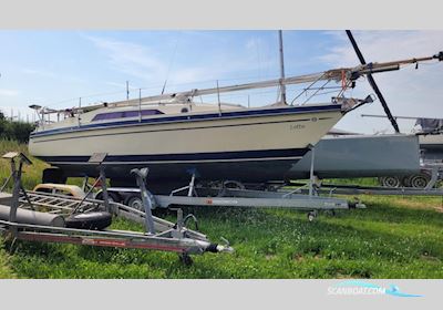 Schöchl Sunbeam 27KS Sejlbåd 1989, med Kräutler motor, Tyskland