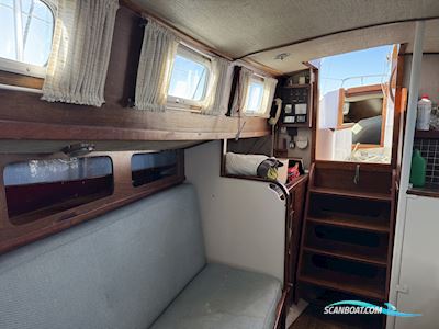 Seadog 30 Sejlbåd 1973, Holland