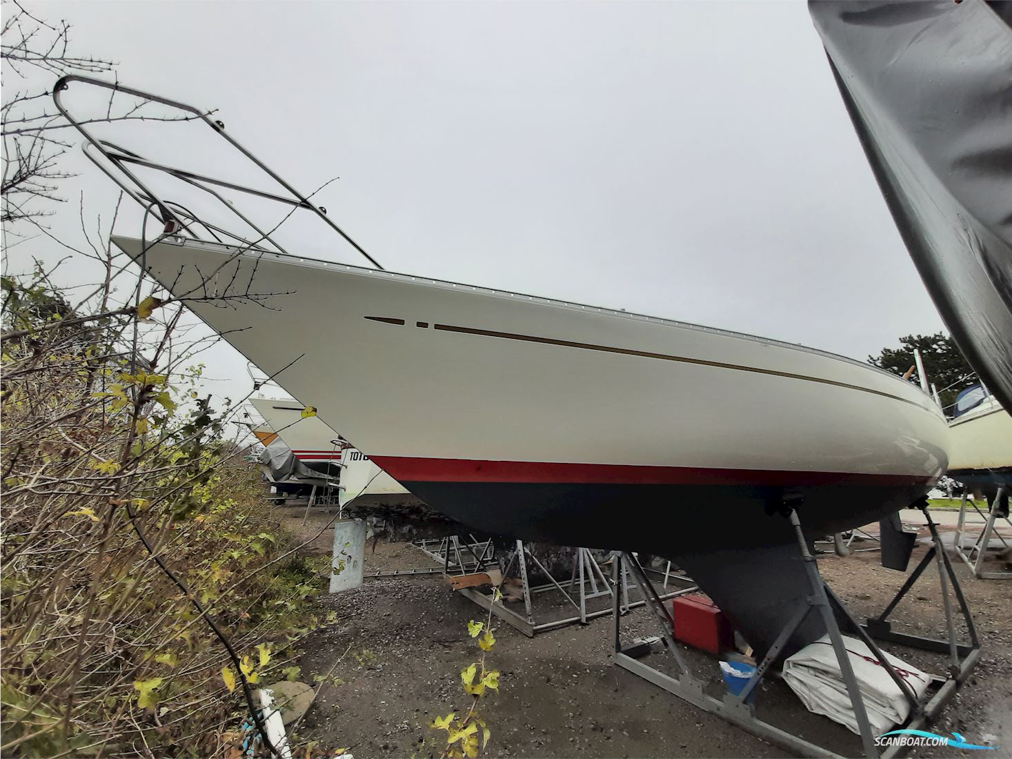 Senorita Helmsman - SOLGT