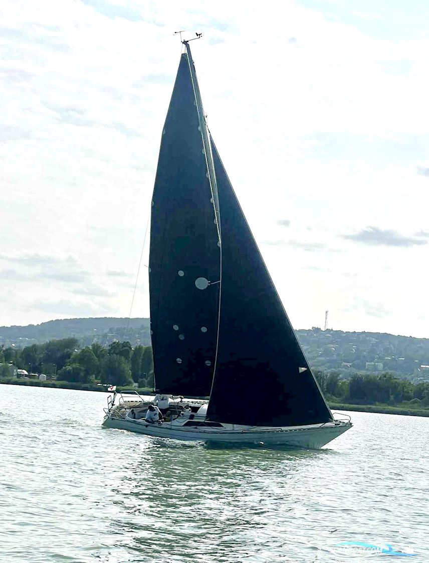 Senorita Helmsmann Sejlbåd 1980, med Volvo Penta MD5B motor, Ungarn
