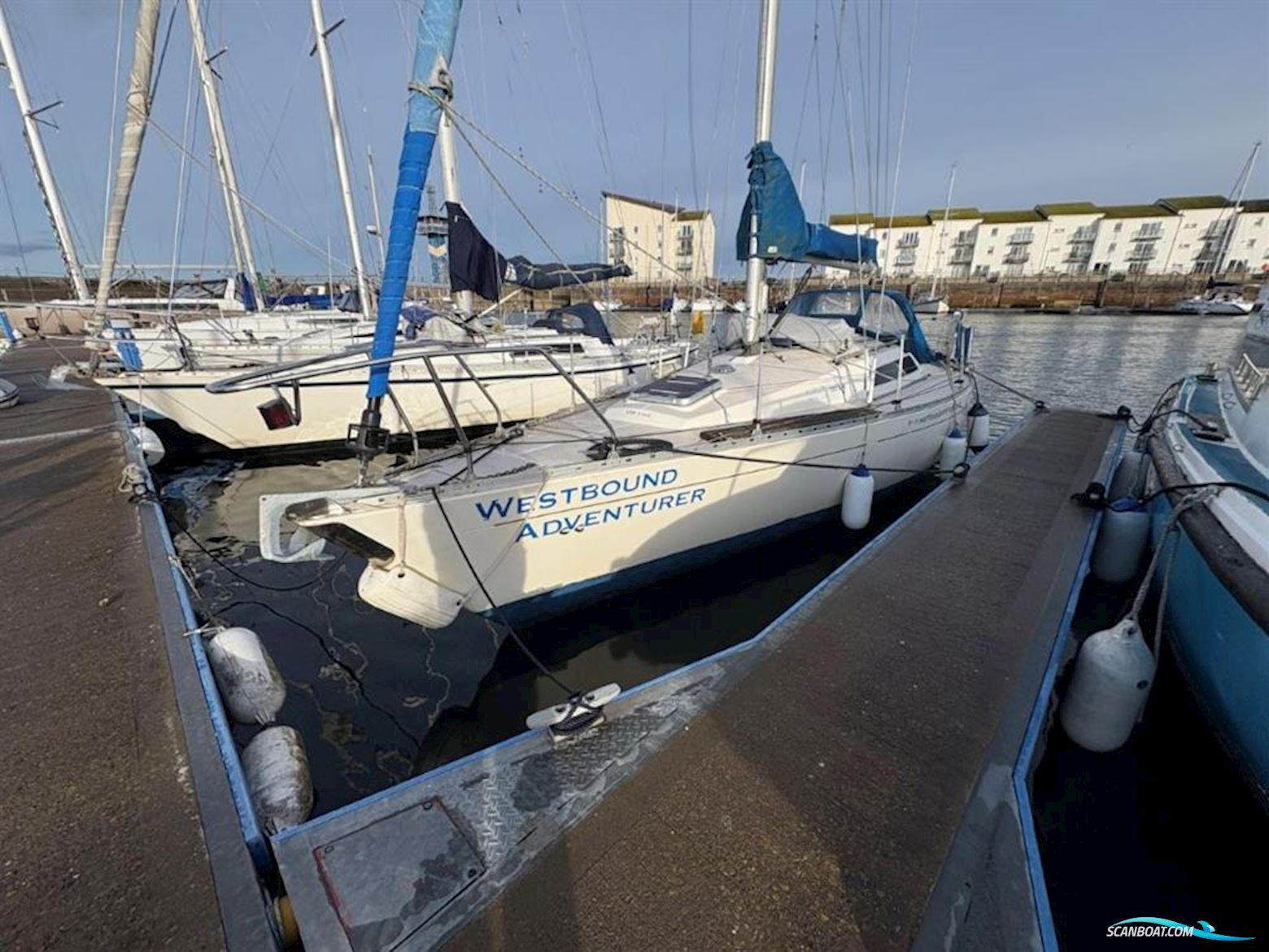 Sigma  33 Cruiser