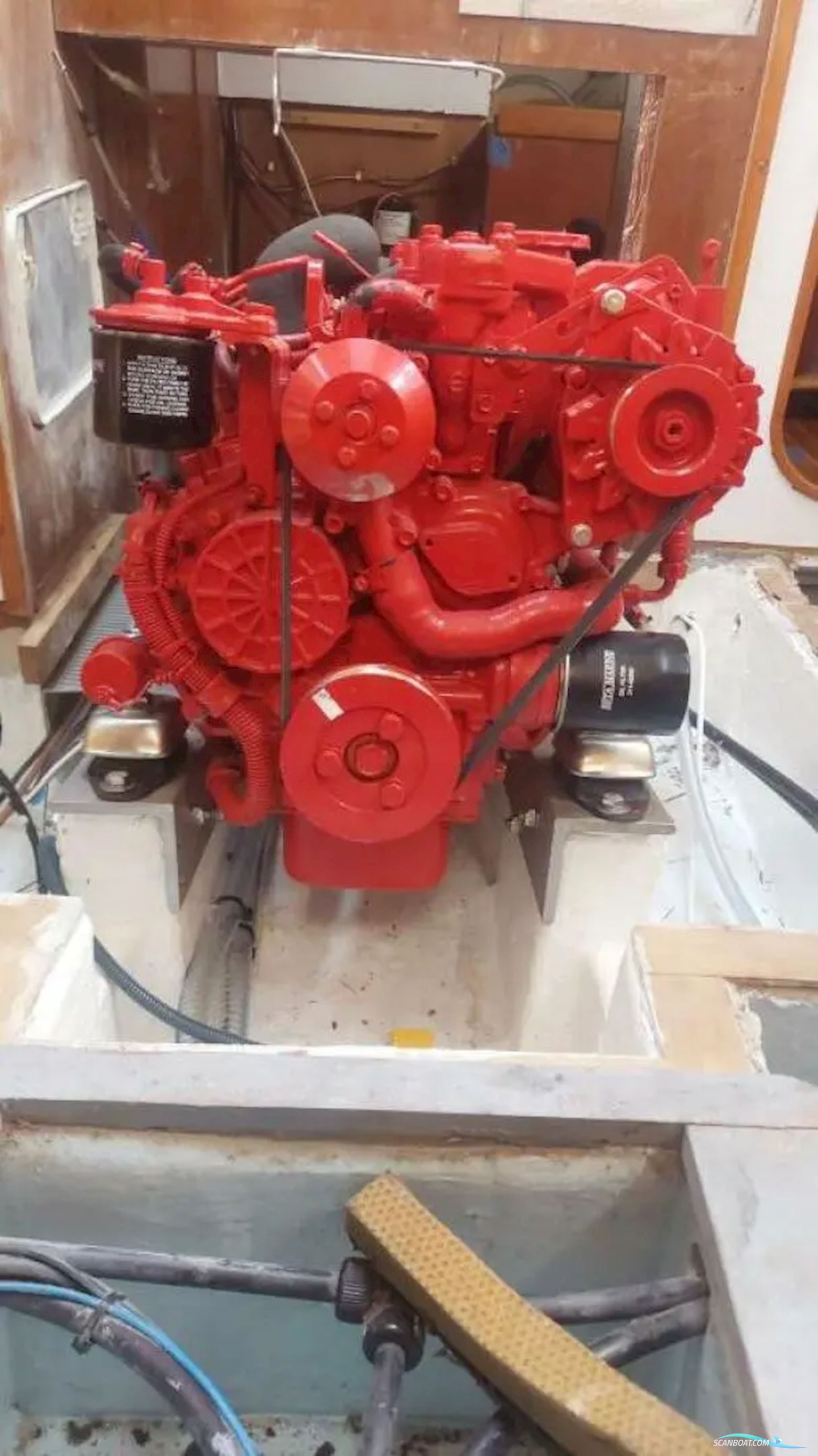 Sigma 41