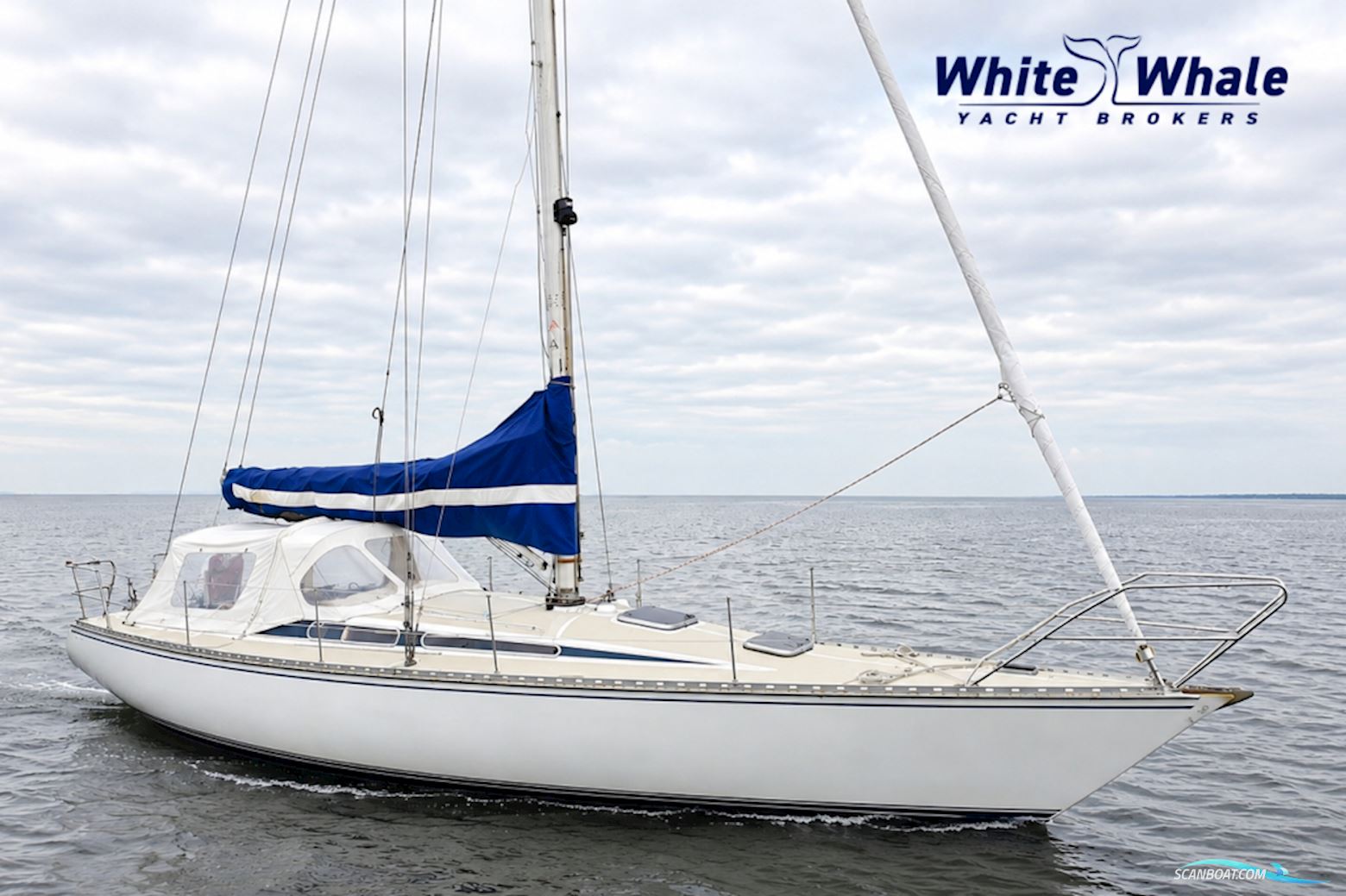 Sirena 38 Sejlbåd 1984, med Bukh motor, Holland