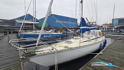 Sirena 38 Sejlbåd 1984, med Bukh motor, Holland