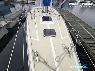 Sirena 38 Sejlbåd 1984, med Bukh motor, Holland