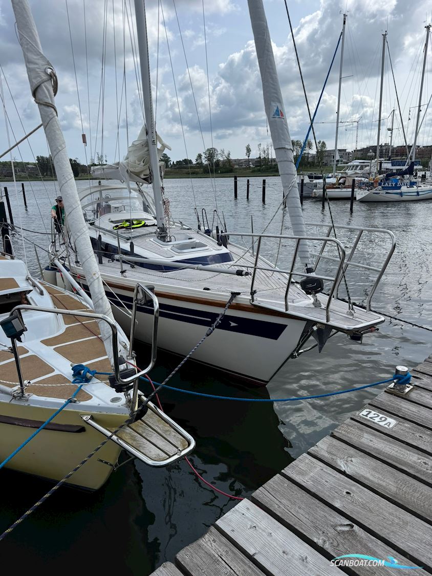 Sirius 31
