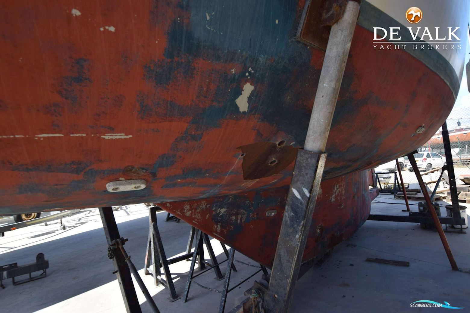 Skorpion 44