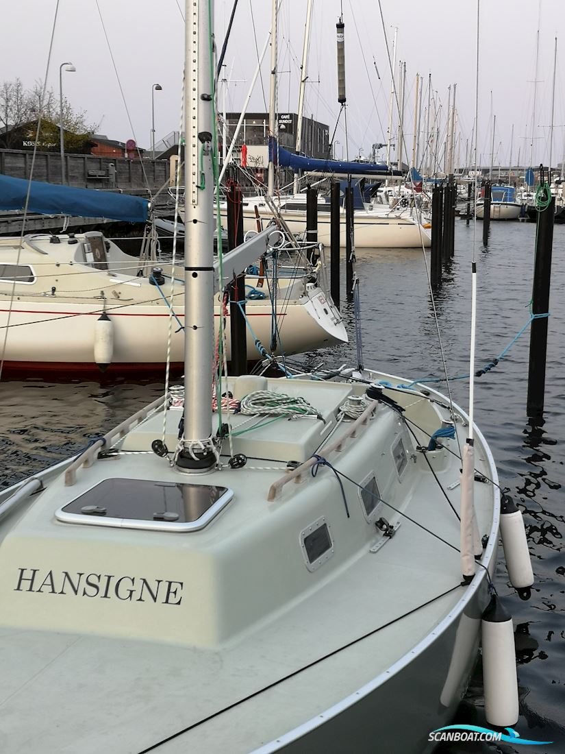 Spækhugger Racing DEN-24, Hansigne