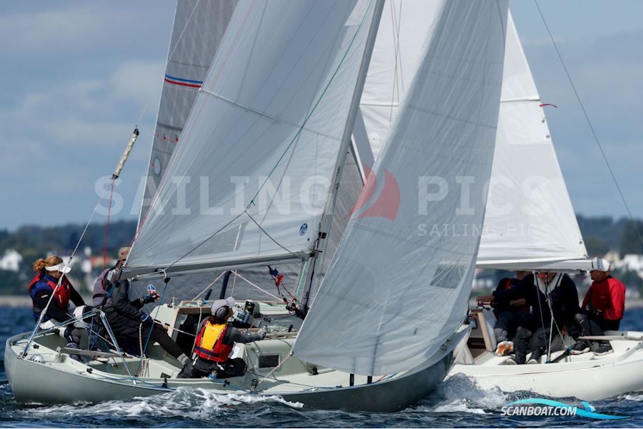 Spækhugger Racing DEN-24, Hansigne