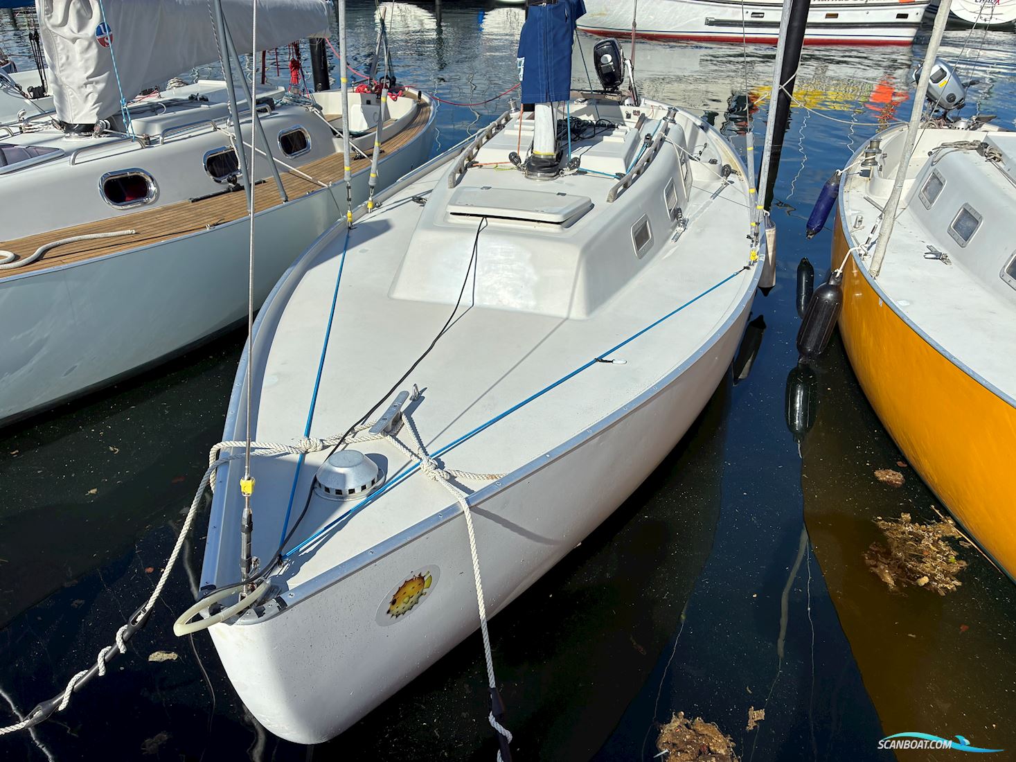 Spækhugger racing