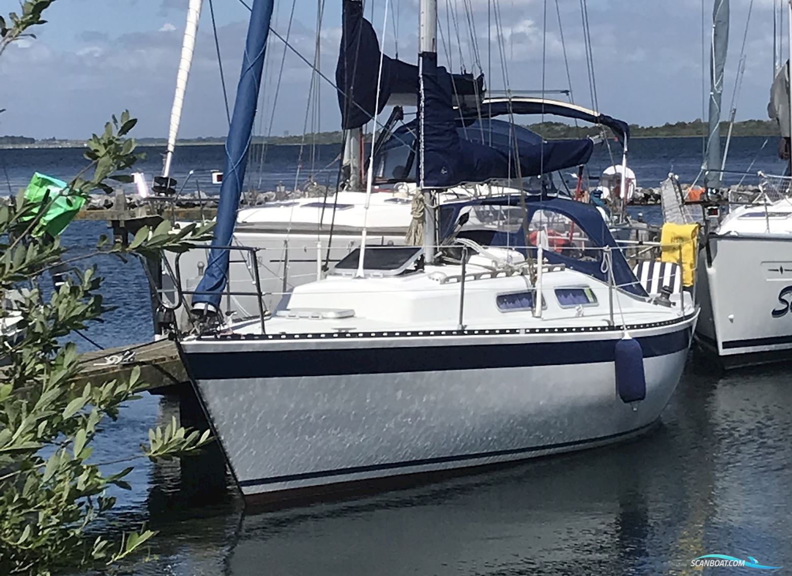 Spirit 29 Sejlbåd 1985, med Volvo Penta motor, Holland