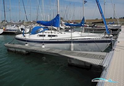 Spirit 29 Sejlbåd 1983, med Volvo Penta MD7B motor, Belgien
