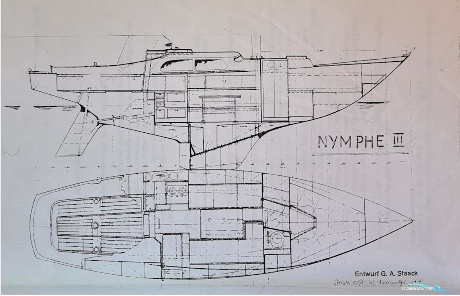 Staack Nymphe Iii
