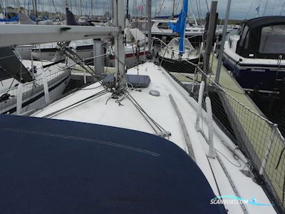 Standfast Loper 27 Sejlbåd 1977, med Yanmar motor, Holland