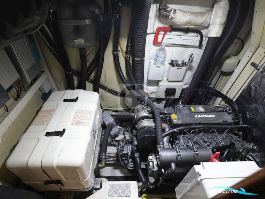 Stella Polare Starkel Star 60