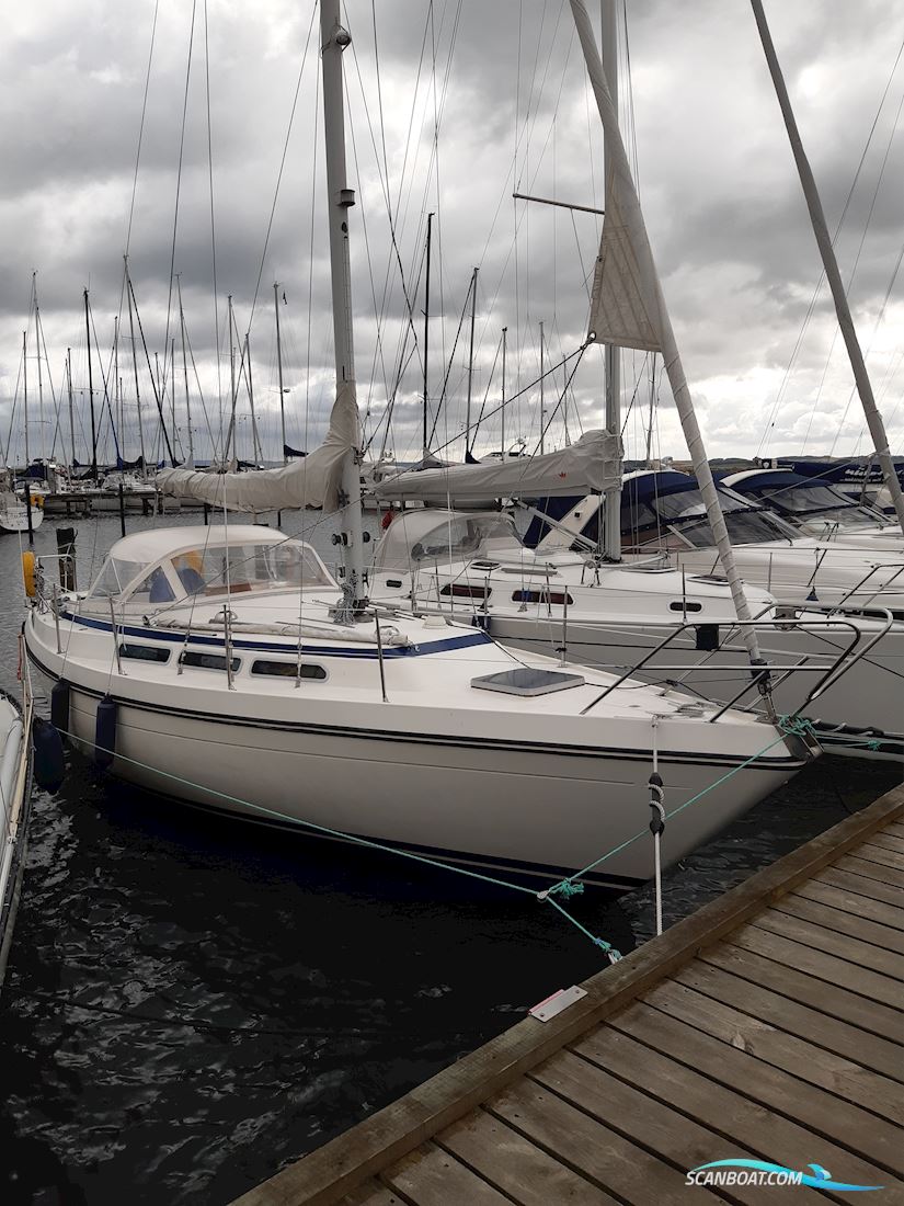 Storebro Royal 33 Sejlbåd 1979, med Volvo Penta motor, Danmark