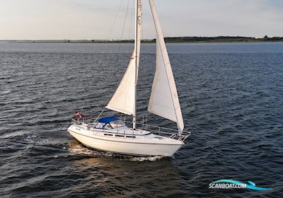 Storebro Royal 33 Sejlbåd 1979, med Volvo Penta MD17C motor, Danmark