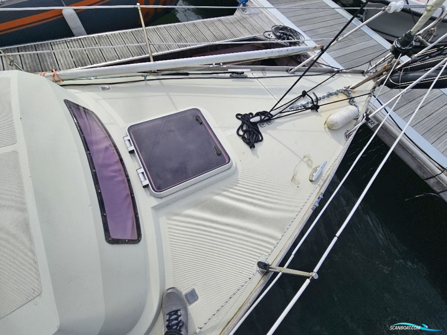 Sturgeon 28