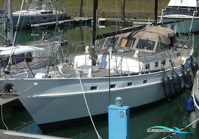 Suncoast 48 Sejlbåd 1979, med Yanmar motor, Holland