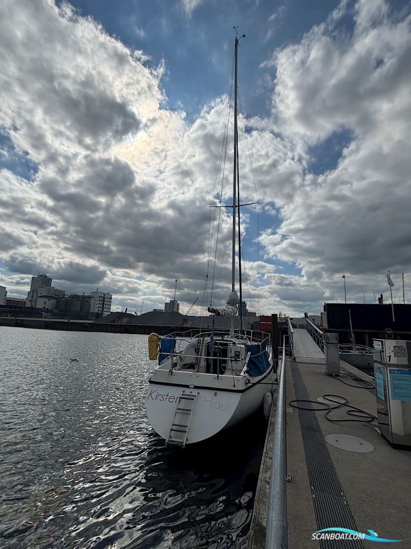 Sunwind 31