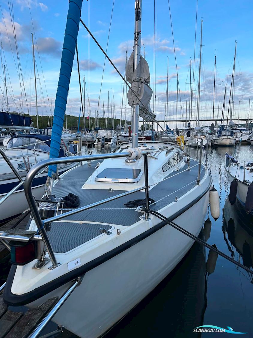 Sunwind 31
