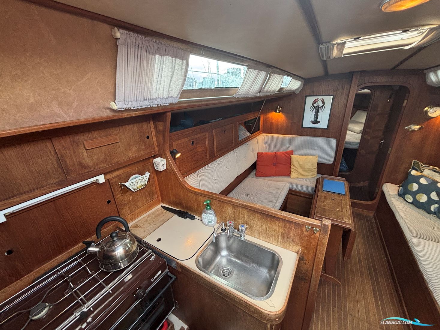 Sunwind 31