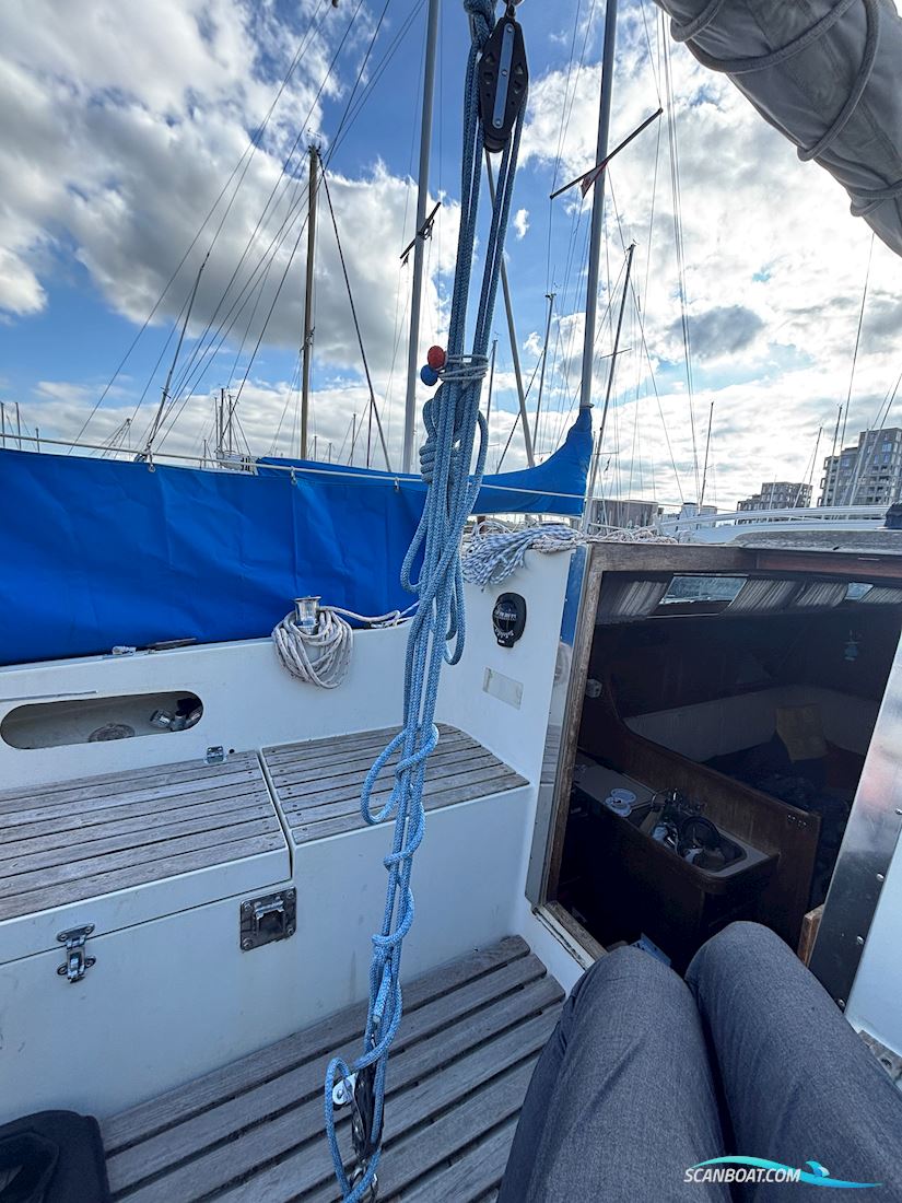 Sunwind 31