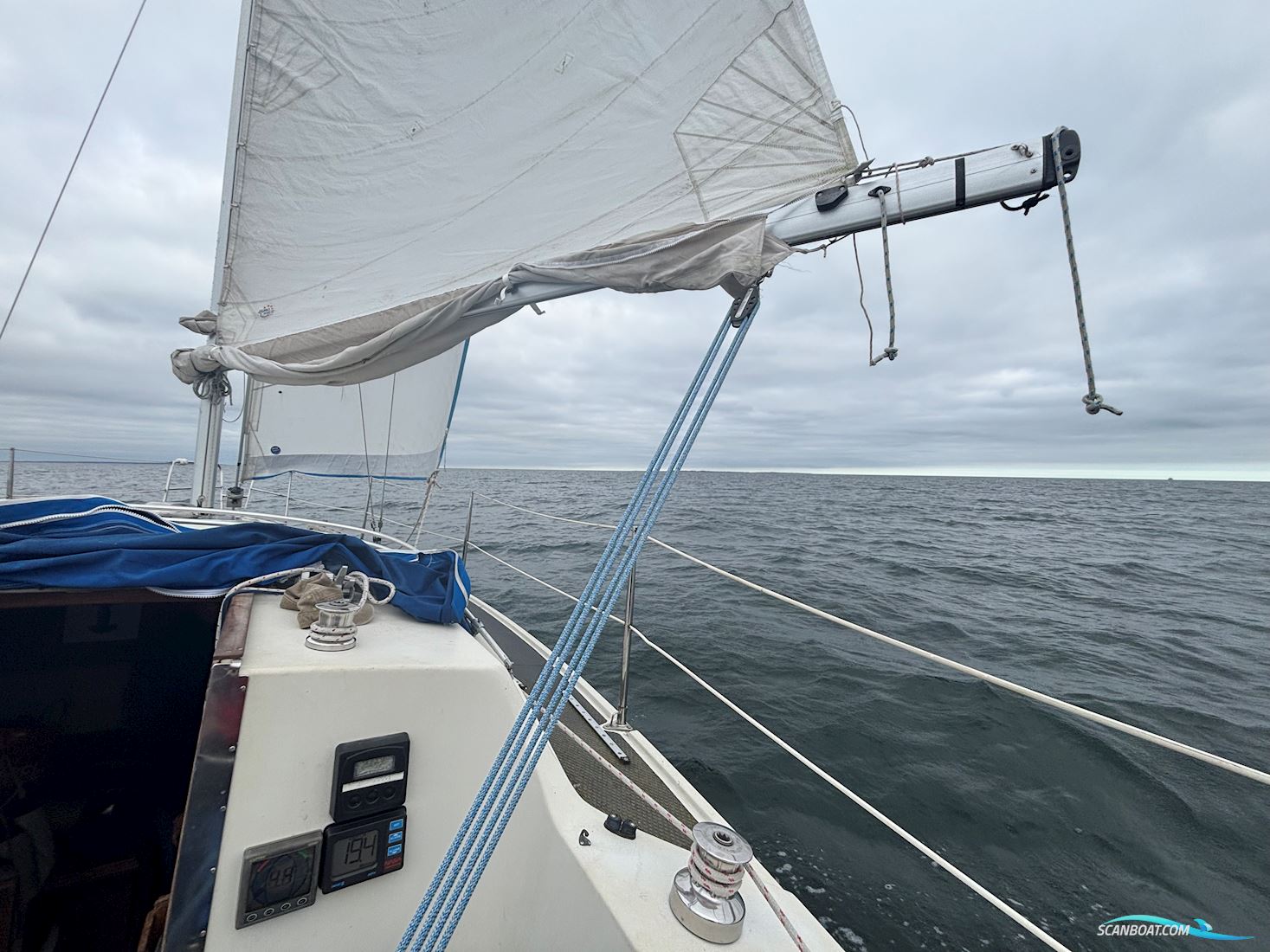 Sunwind 31