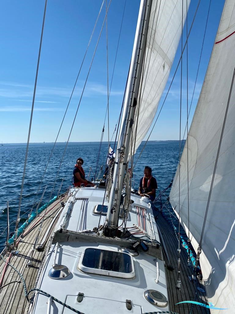 Swede 55