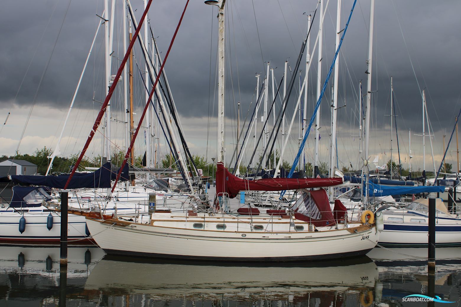 Tayana 37 Sejlbåd 1983, med Yanmar 3QM30 motor, Holland
