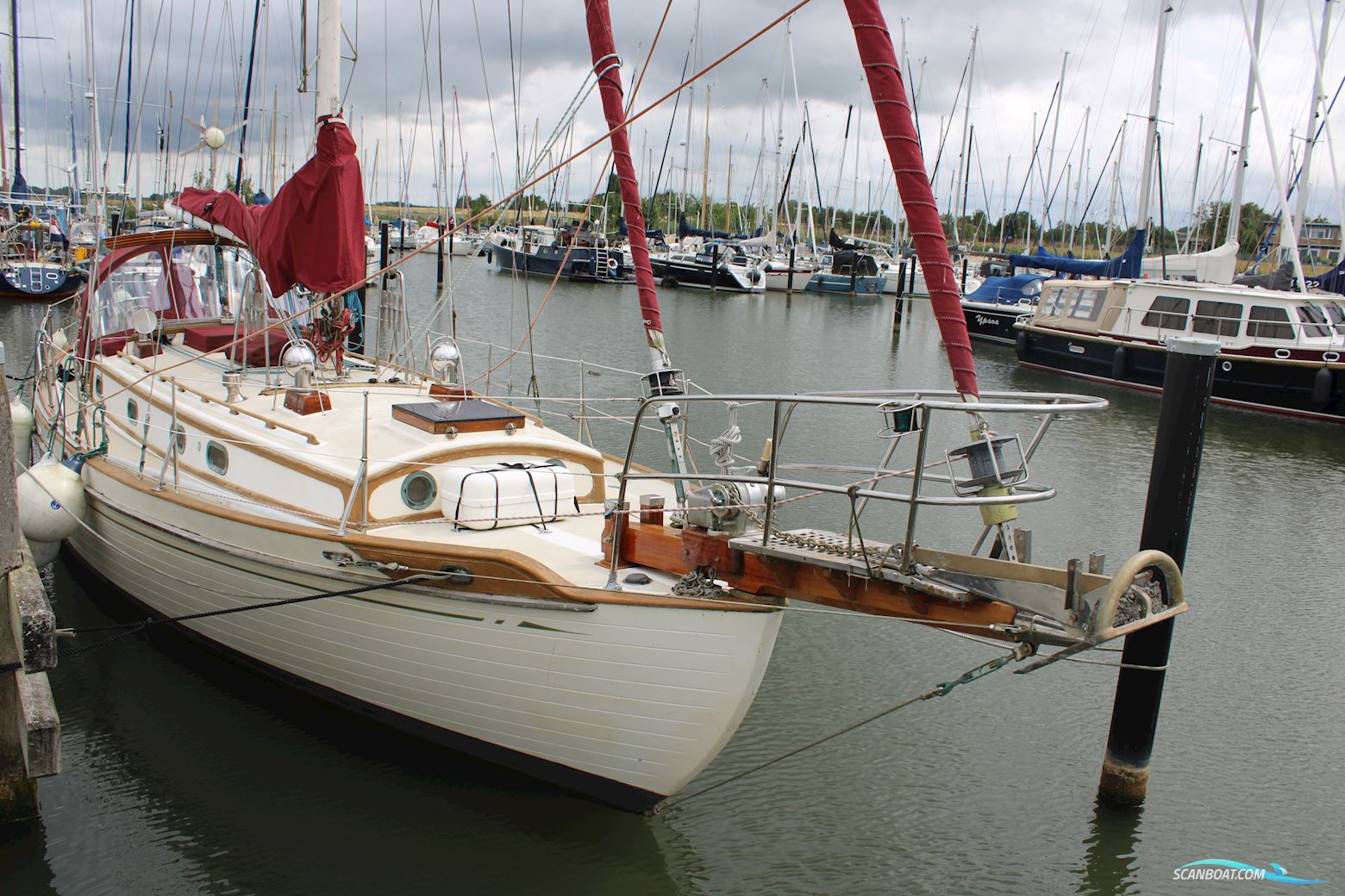 Tayana 37