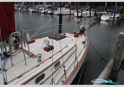 Tayana 37 Sejlbåd 1983, med Yanmar 3QM30 motor, Holland