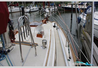 Tayana 37 Sejlbåd 1983, med Yanmar 3QM30 motor, Holland