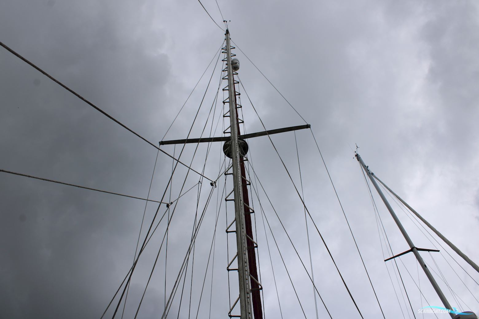 Tayana 37