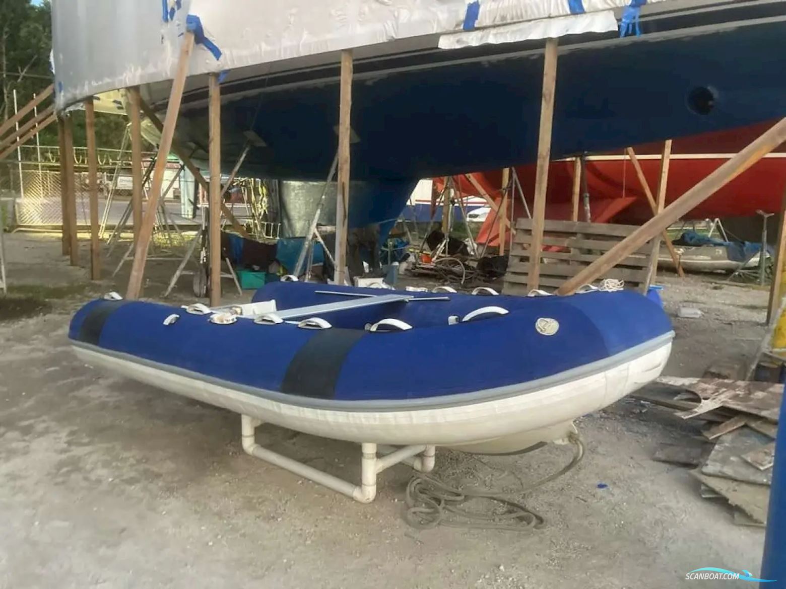 Tayana 55