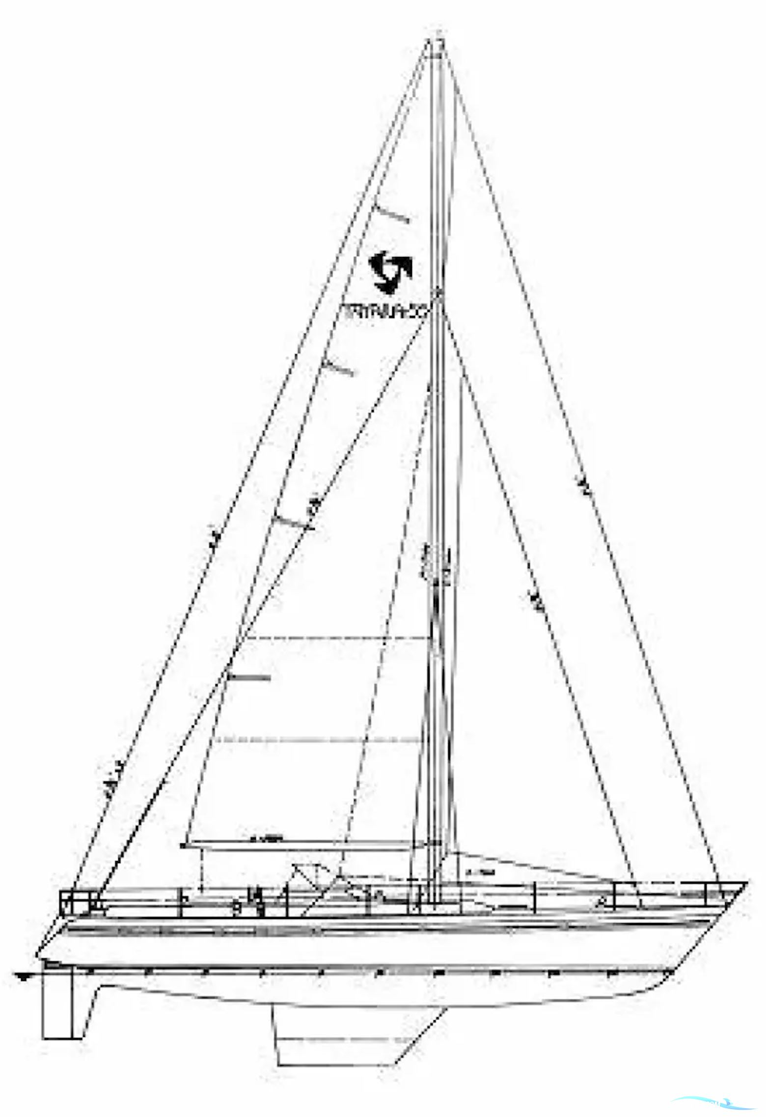 Tayana 55