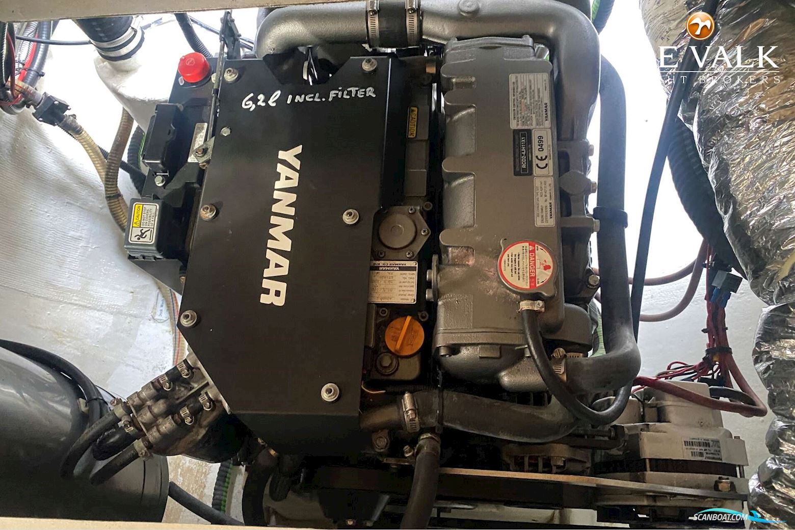 Taylor Davidsen TD547